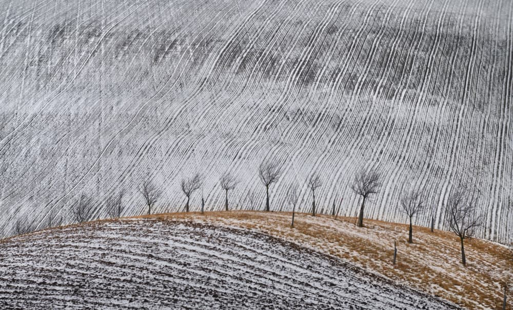 Snowy Winter Fields by Tomas Frolec — canvas wall art