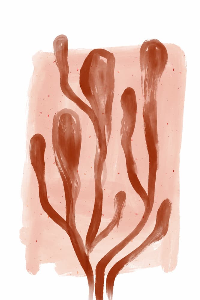 Terracotta Flora by Treechild — canvas wall art