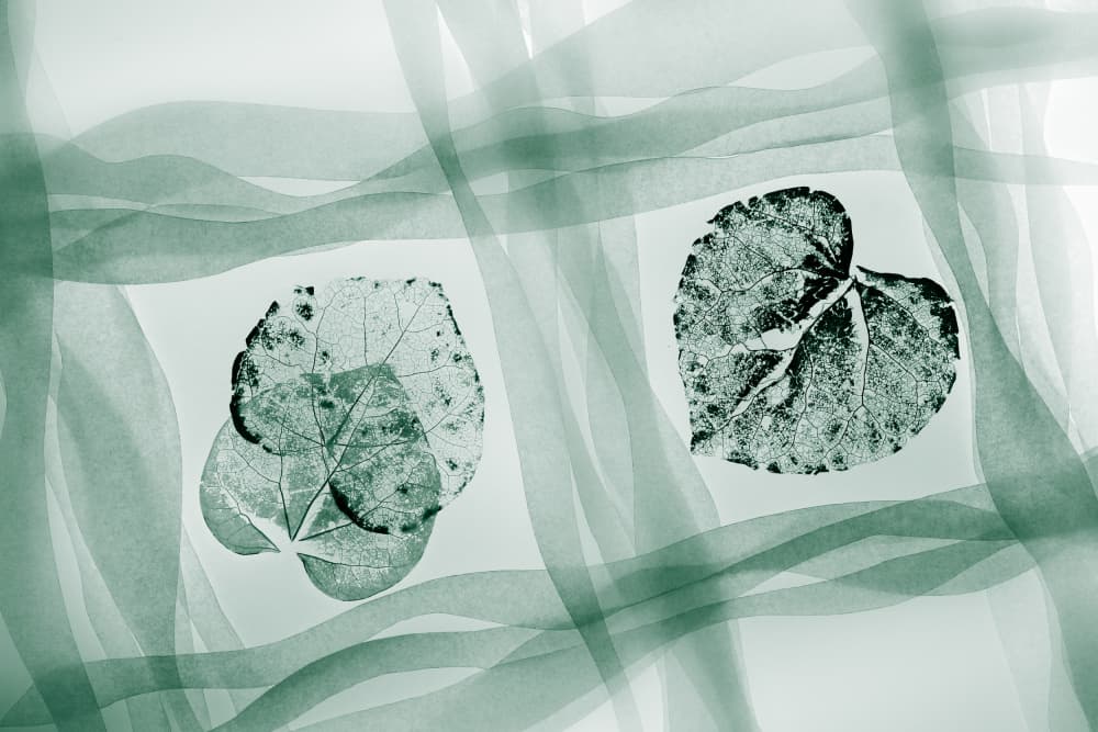 Delicate Leaves Flowing Ribbons by Shihya Kowatari — canvas wall art