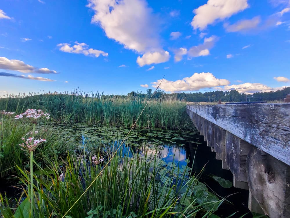 Wetlands Wooden Bridge by Olea Huuska — canvas wall art