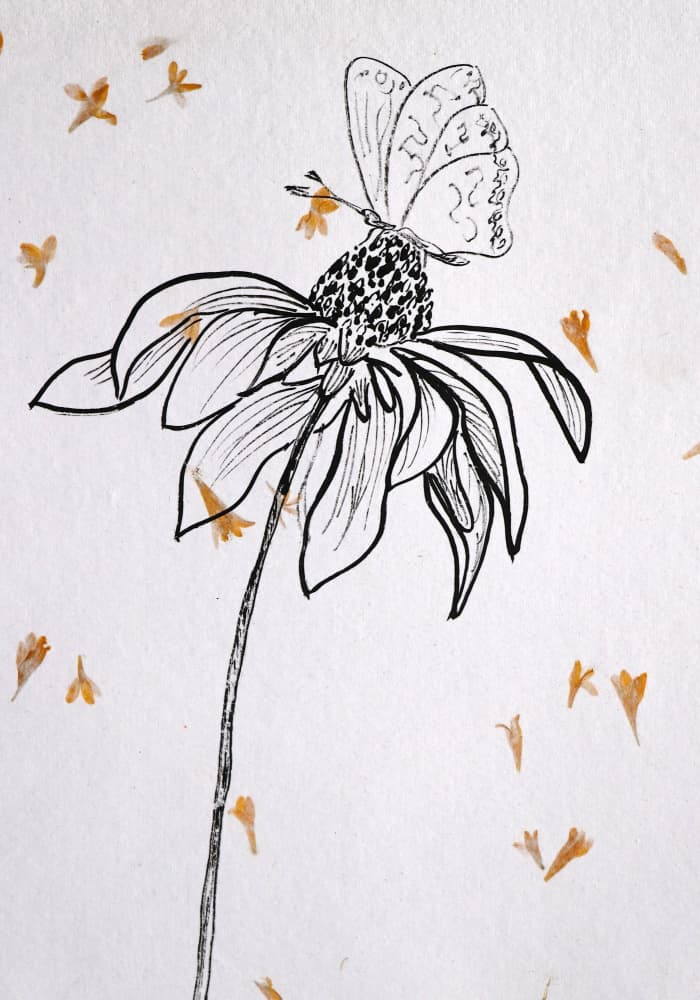 Delicate Butterfly Bloom by Santhosh ch — canvas wall art