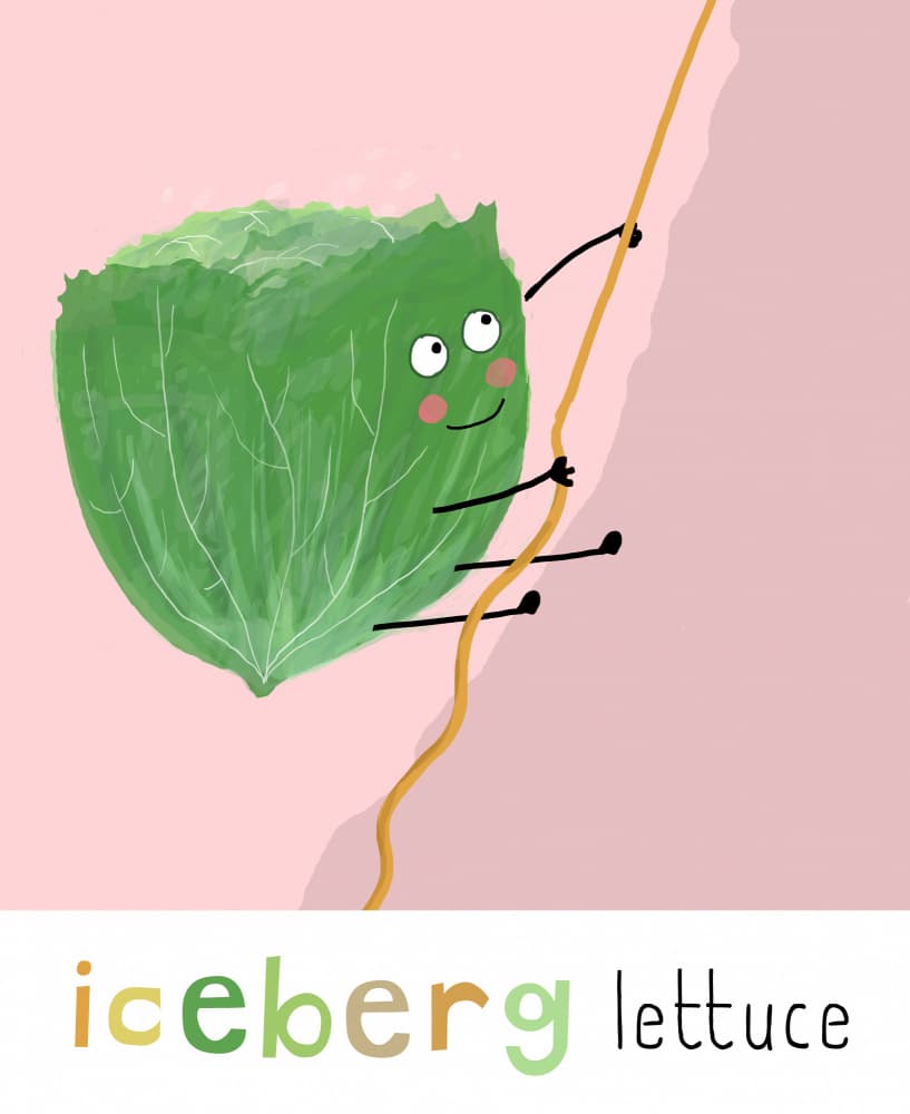 Iceberg Lettuce Climber by Carla Daly — canvas wall art