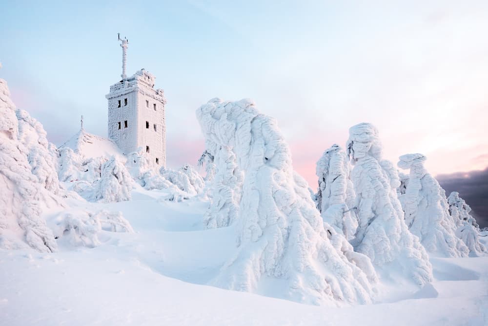 Snowy Mountain Sentinel by Christoph Schaarschmidt — canvas wall art