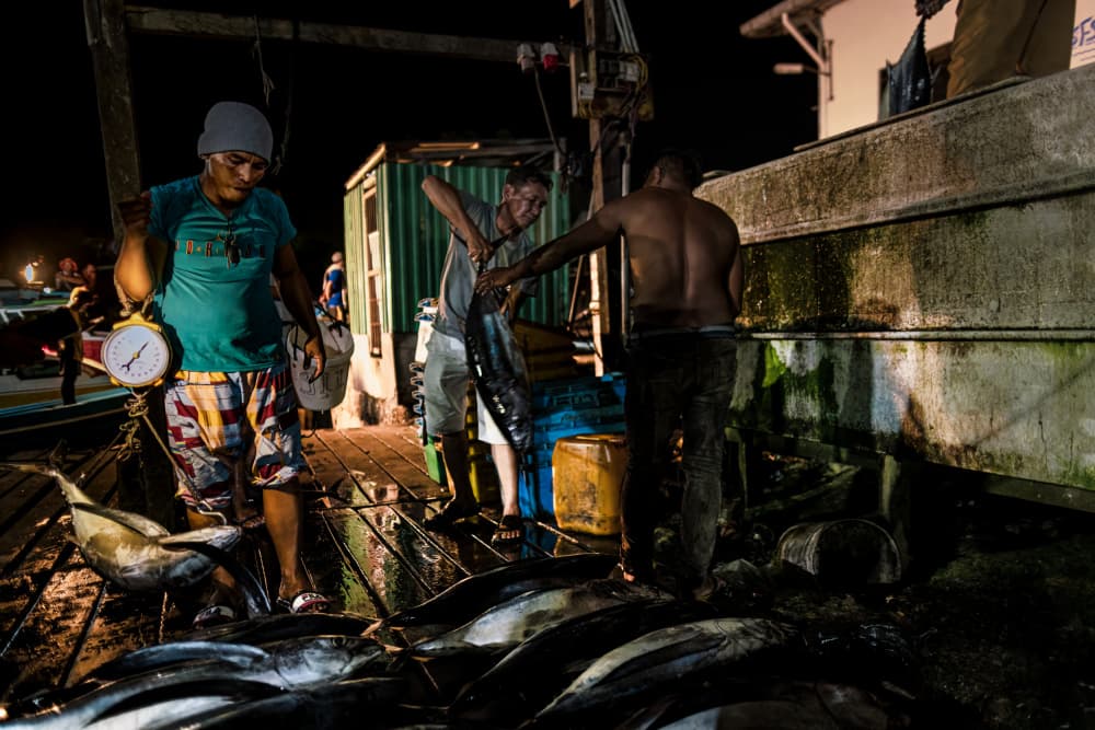 Night Catch at the Dock by Marco Tagliarino — canvas wall art