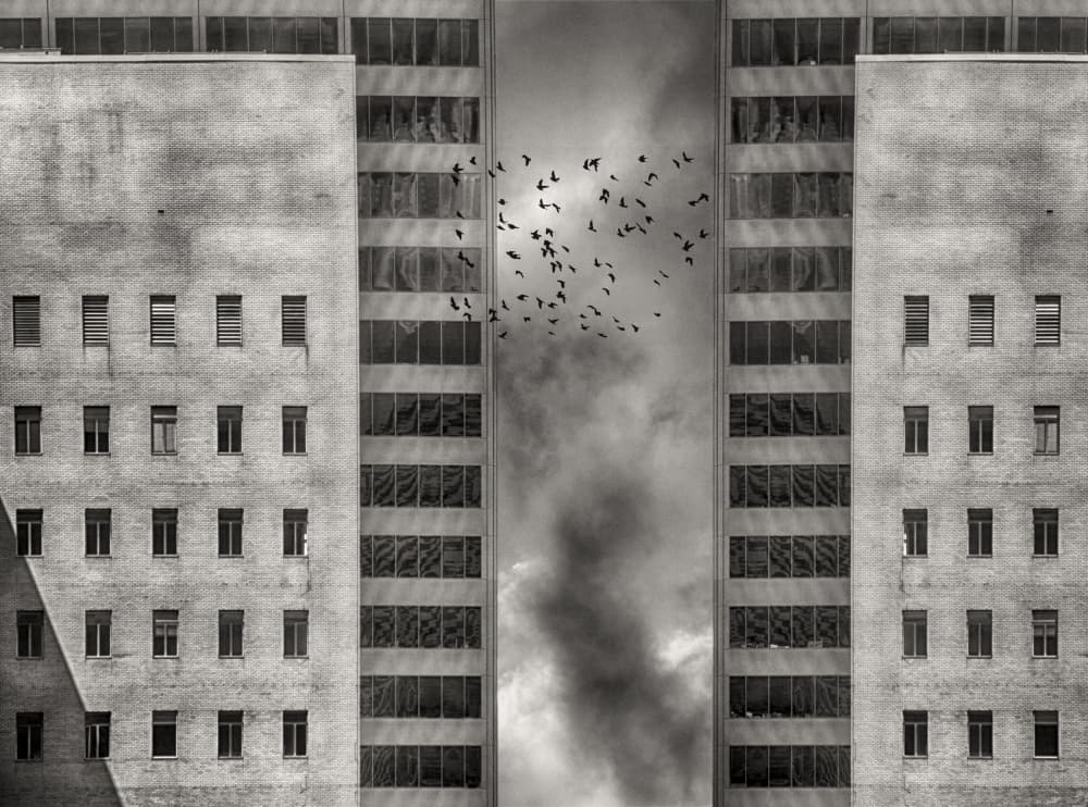 Flight Between Towers by Roxana Labagnara — canvas wall art