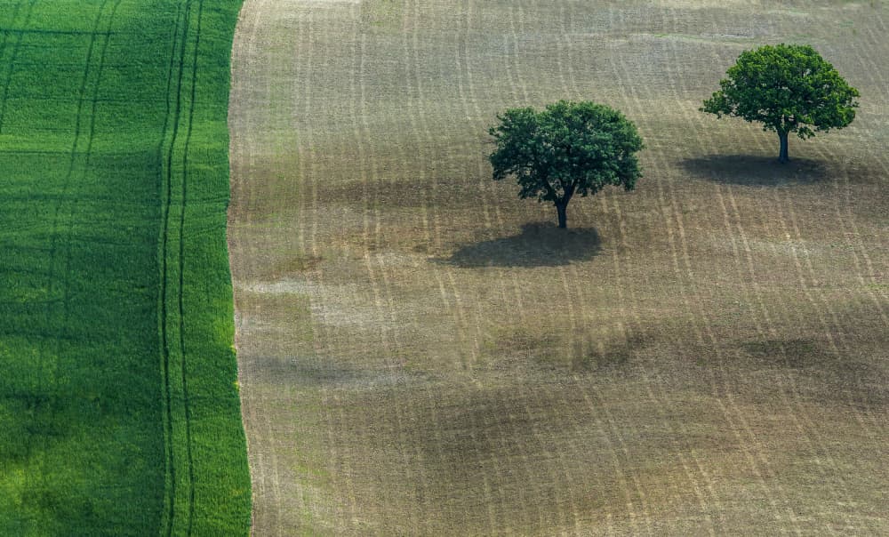 Contrasting Farm Fields by Dorit Berkovits — canvas wall art