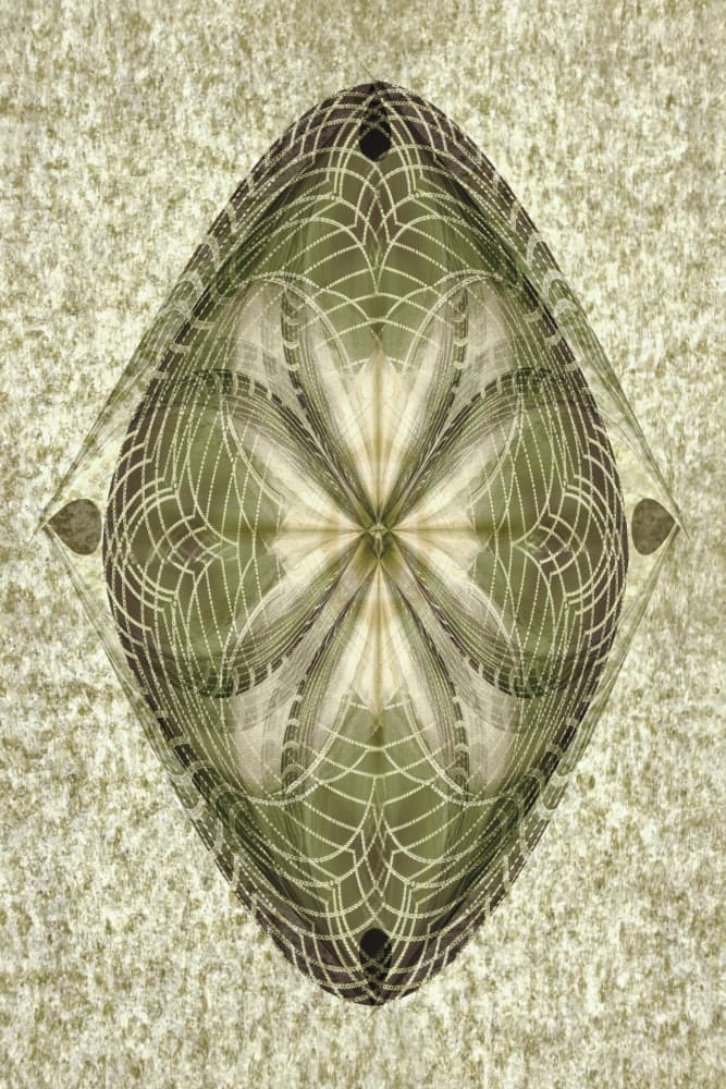Elegant Botanical Symmetry by Christina Sillen — canvas wall art