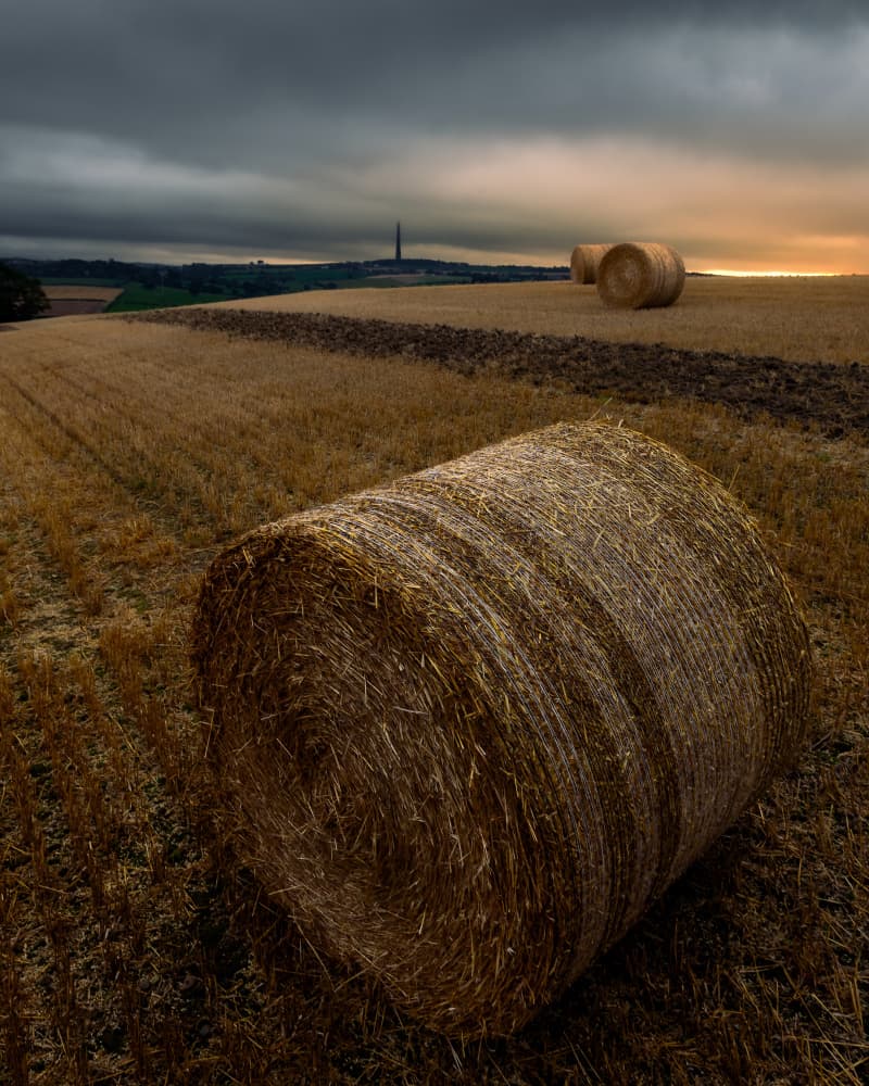 Dramatic Hay Bales Field by Francis Wilson — canvas wall art