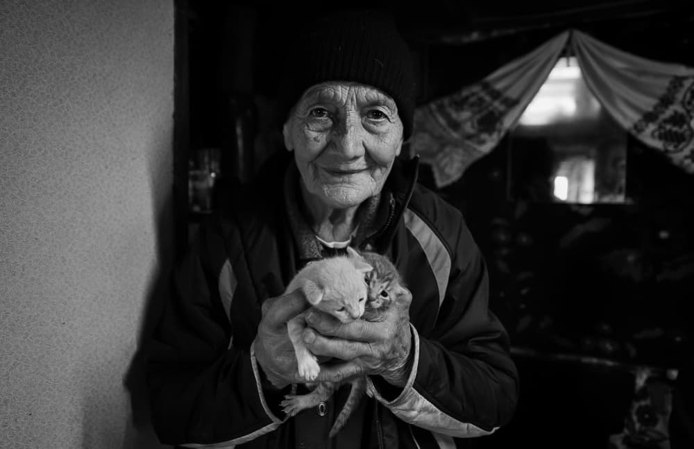 Grandma and Her Kittens by Grigore Roibu — canvas wall art