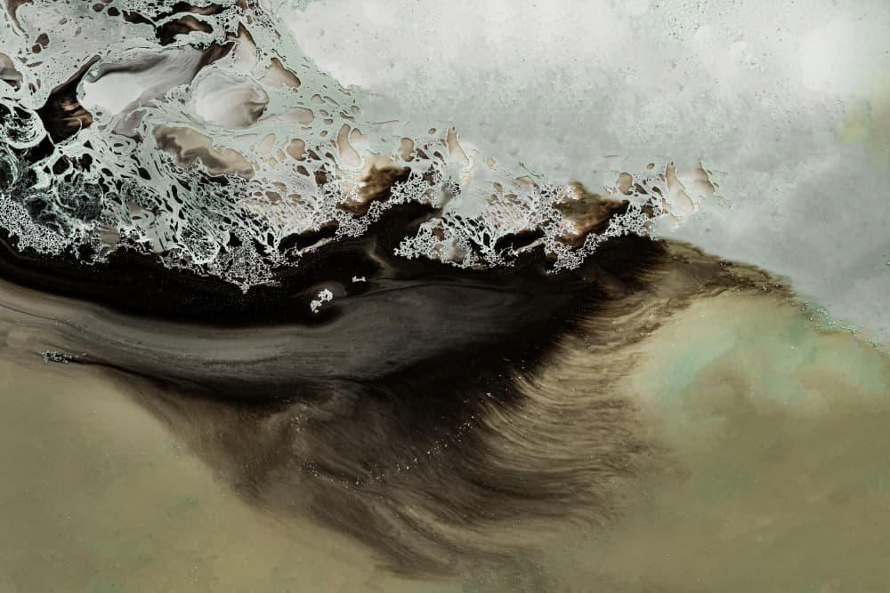 Earthly Motion 1upscaled Cgi 13287w Copy 2 by Petra Meikle de Vlas — canvas wall art