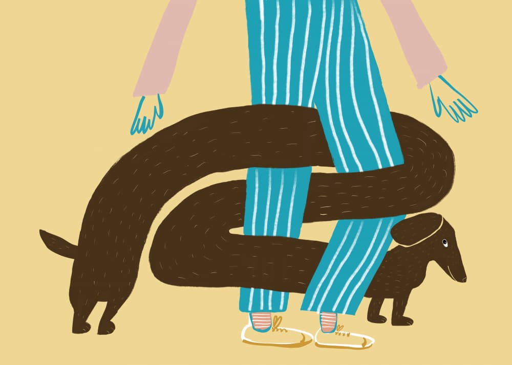 Dachshund Hug Legs by Sharyn Bursic — canvas wall art