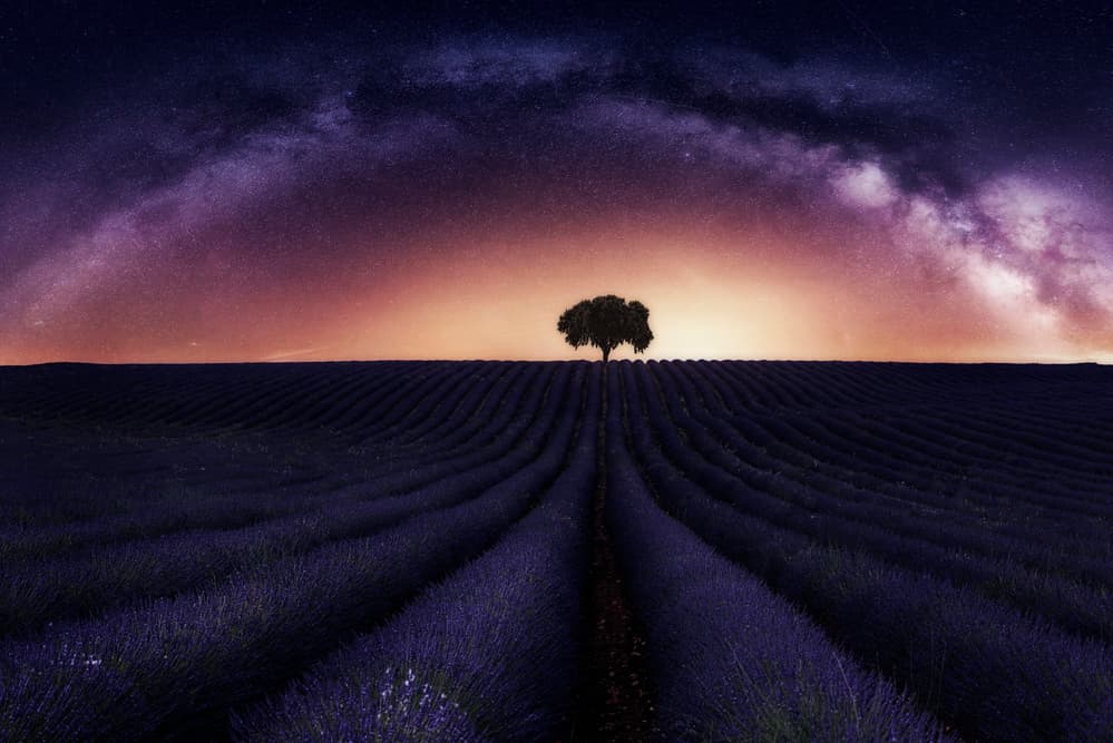 Milky Way Lavender Field by Jorge Ruiz Dueso — canvas wall art