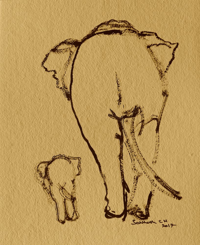 Mother Baby Elephants by Santhosh ch — canvas wall art