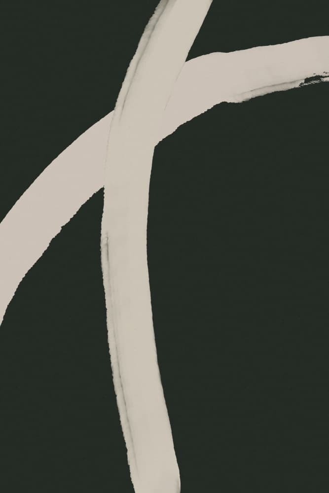 Curved Contrast Lines by Treechild — canvas wall art