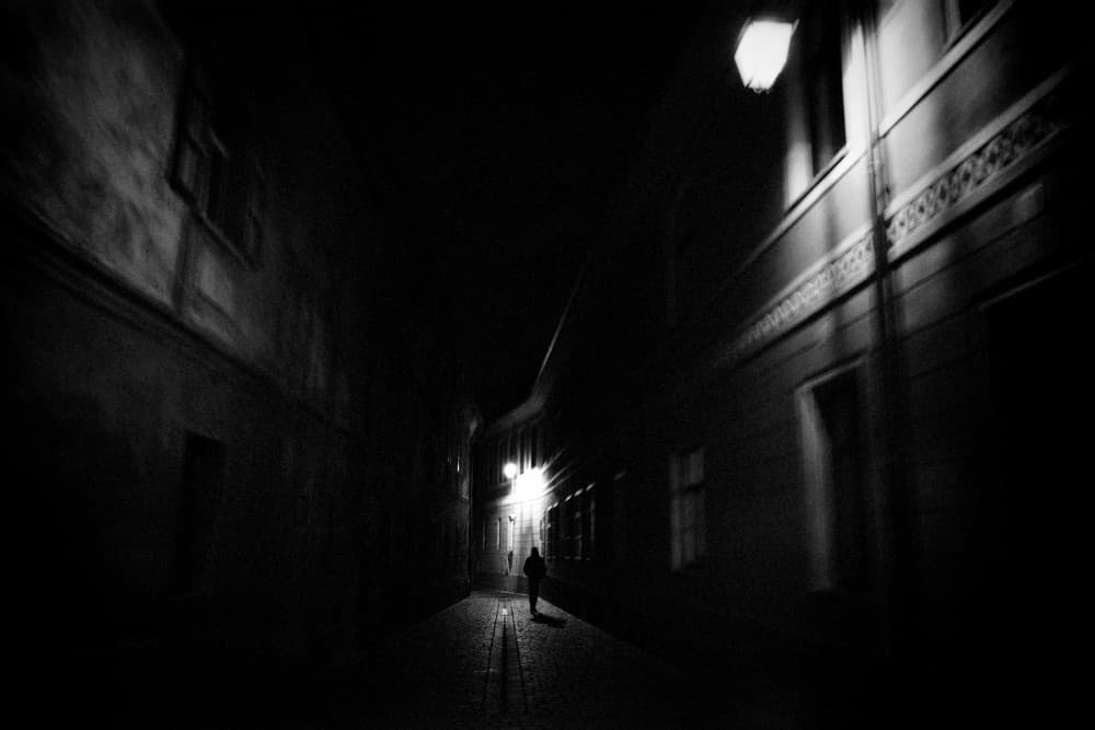 Solitary Night Walk by Elena Raceala — canvas wall art