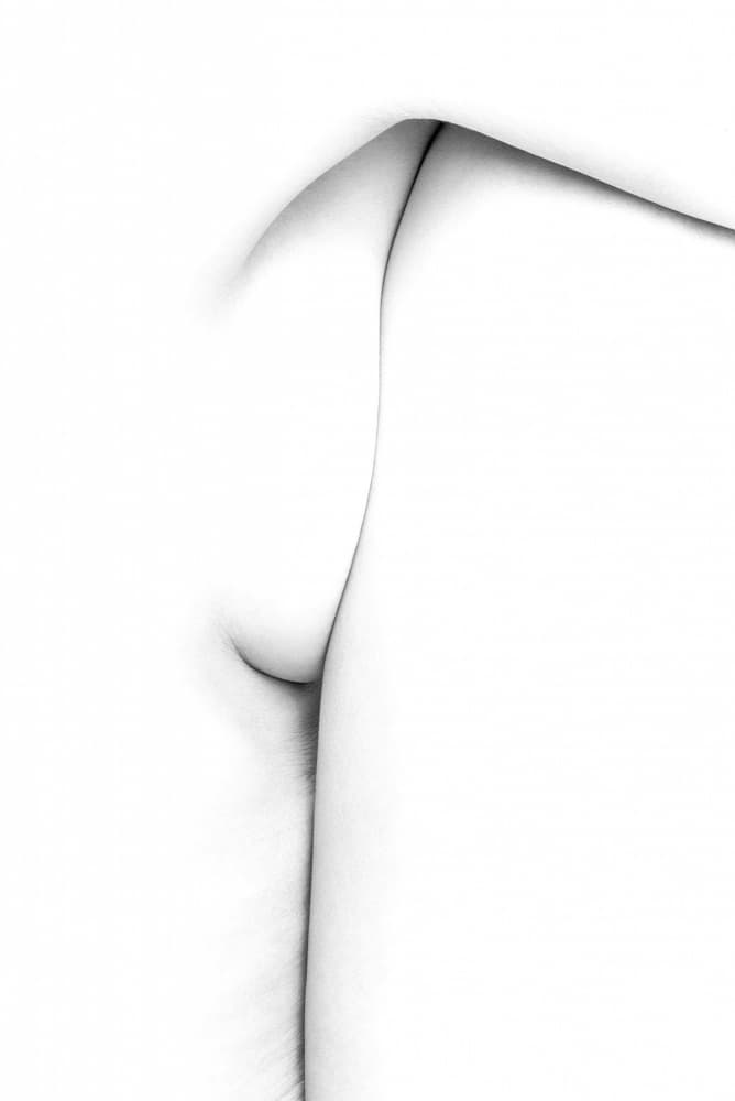 Graceful Female Curves by Leon Schröder — canvas wall art