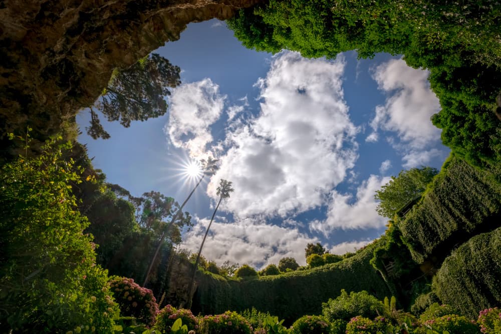 Secret Garden Sunburst by James Zhen Yu — canvas wall art