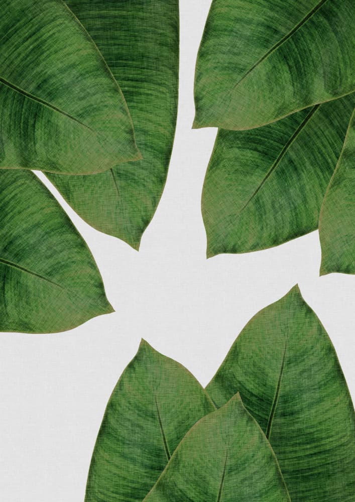 Fresh Tropical Leaves by Orara Studio — canvas wall art