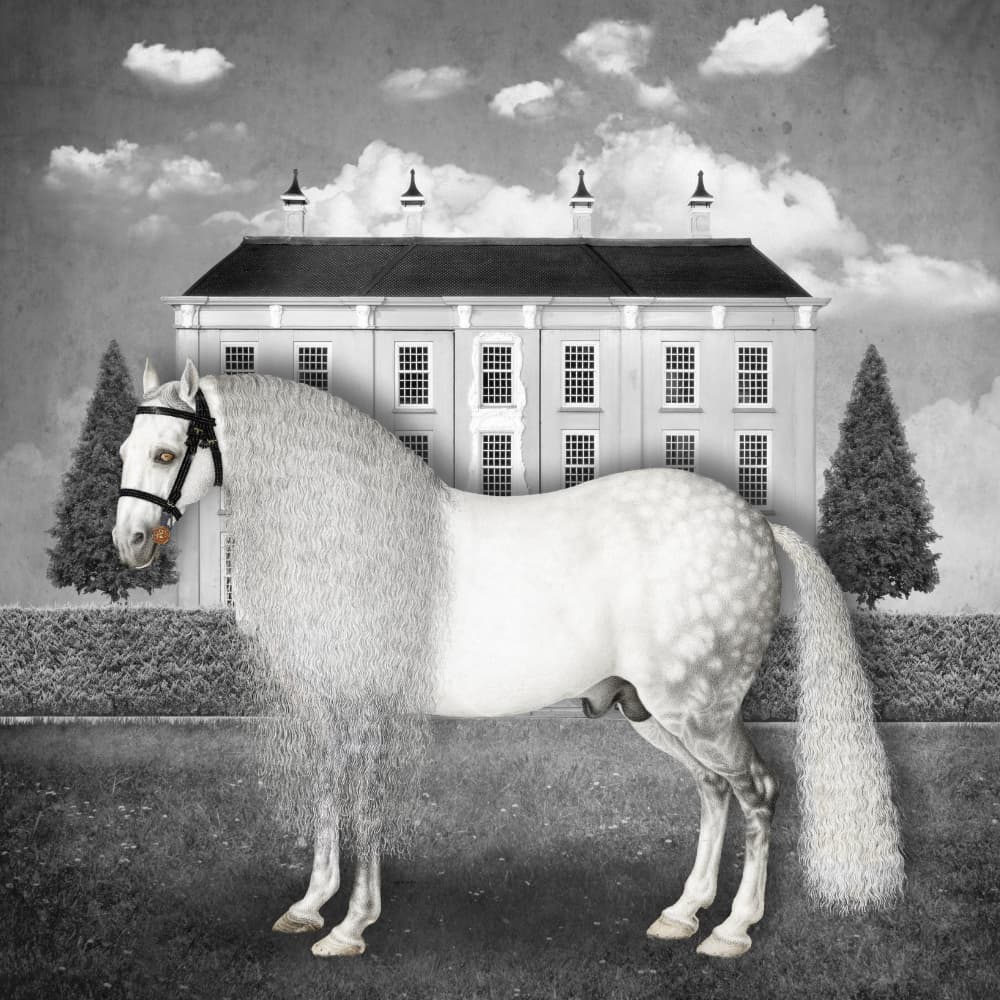 Surreal White Horse Mansion