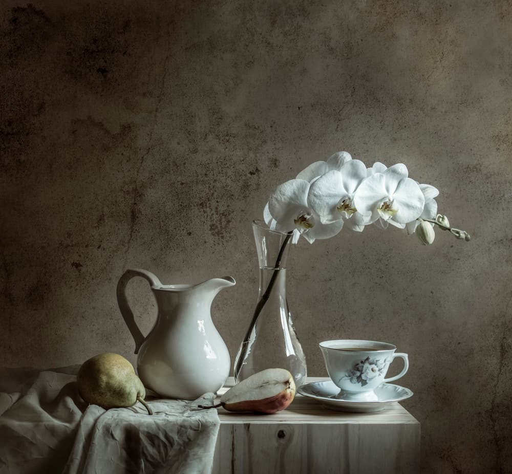 Elegant Orchid Still Life by Margareth Perfoncio — canvas wall art