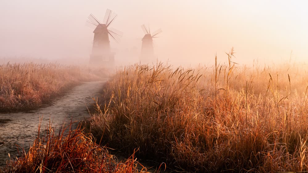 Golden Fog Windmills by Gwangseop Eom — canvas wall art