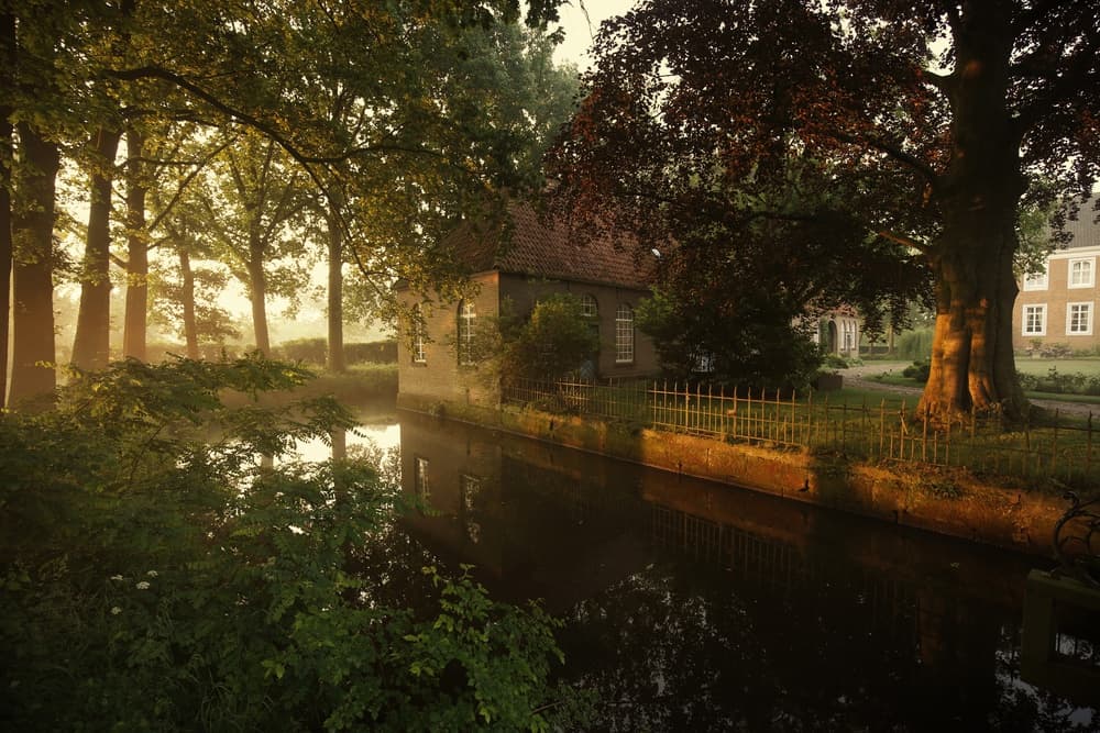 Golden Morning Canal by Vincent Croce — canvas wall art