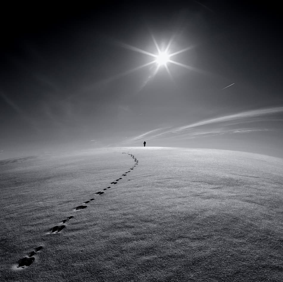 Solitary Path Ahead by Vlad Sokolovsky — canvas wall art