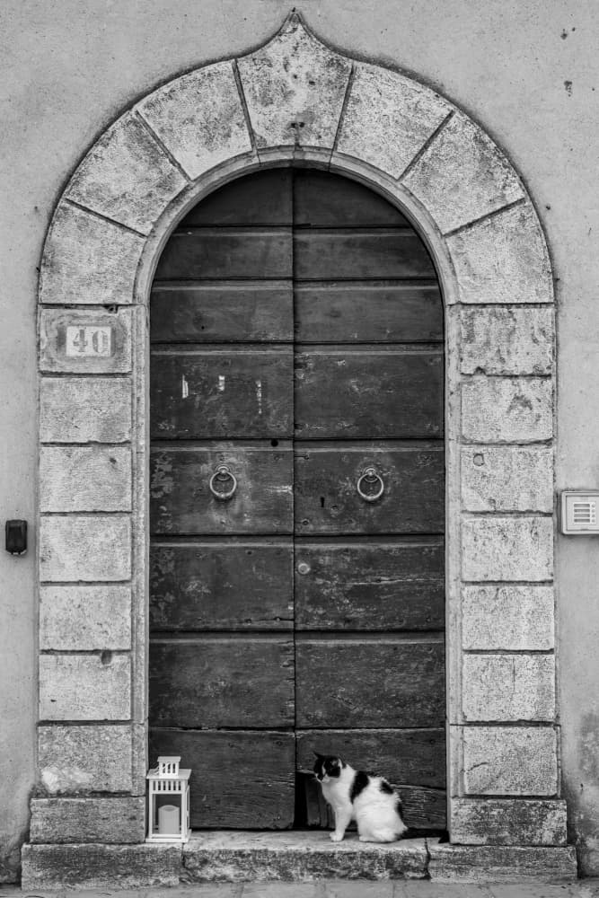 Charming Cat Archway Door by Catalin Baican — canvas wall art