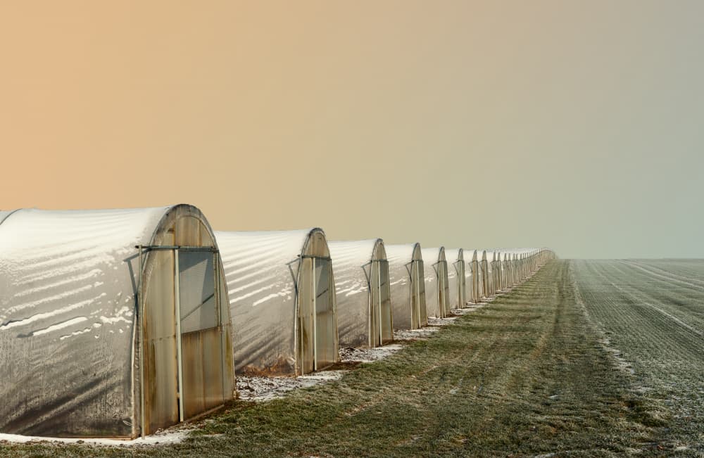 Winter Field Greenhouses by Hans Günther — canvas wall art