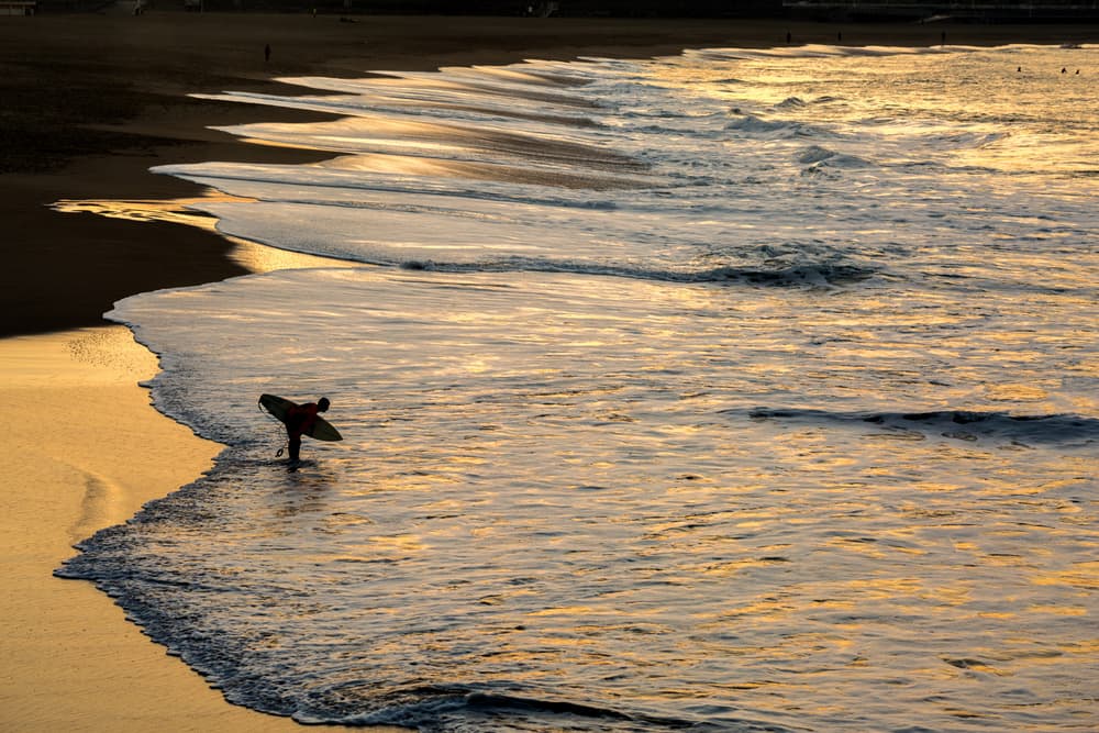 Golden Beach Surfer by Jois Domont ( J.L.G.) — canvas wall art