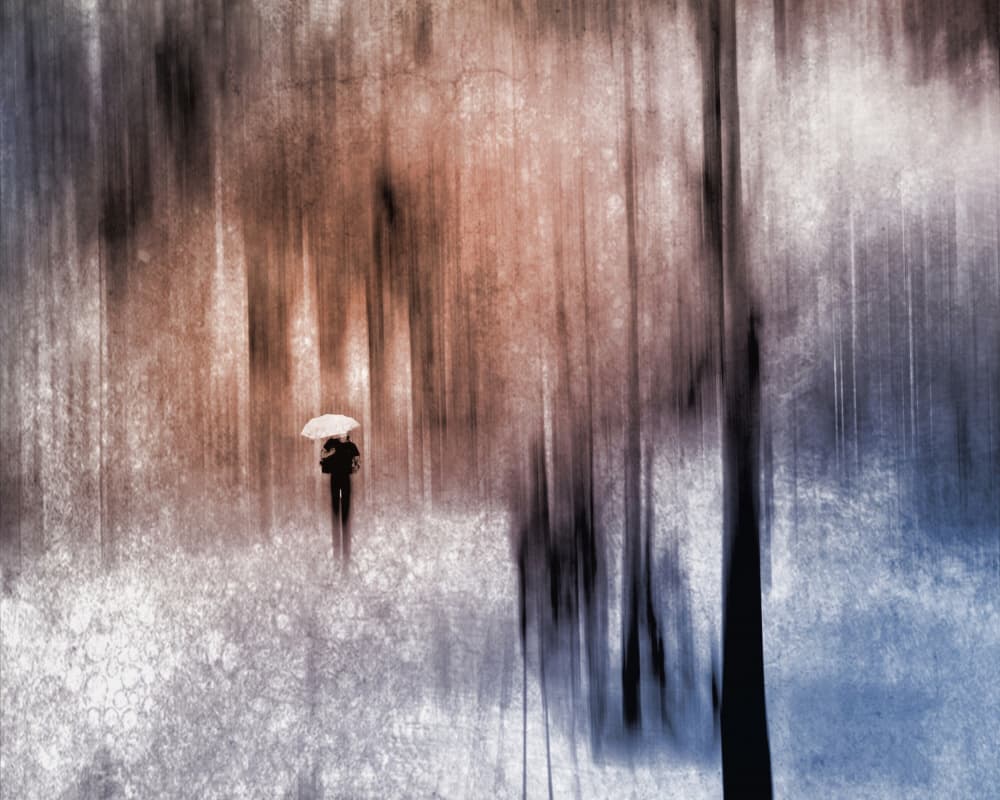 Moody Forest Walk by Lammakmak — canvas wall art