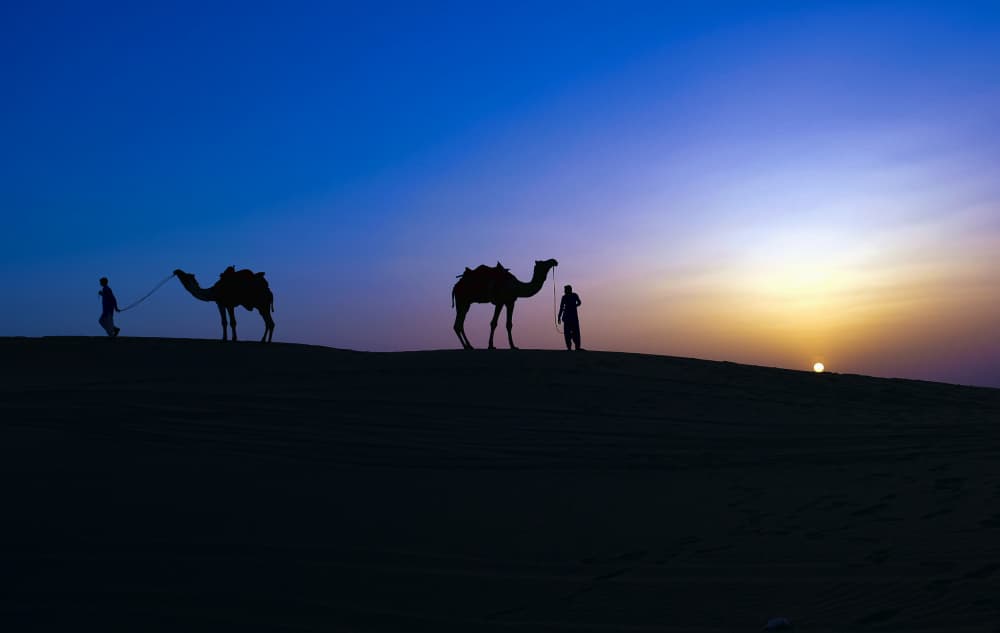 Desert Sunset Camels by Ajit Kumar Majhi — canvas wall art