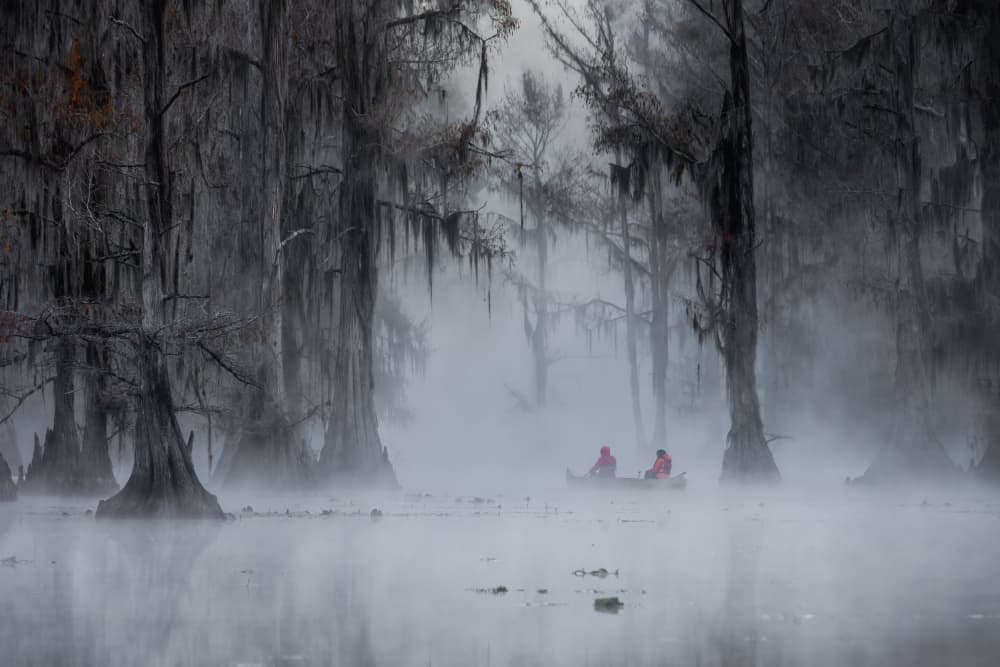 Misty Swamp Canoe Journey by Michael Zheng — canvas wall art