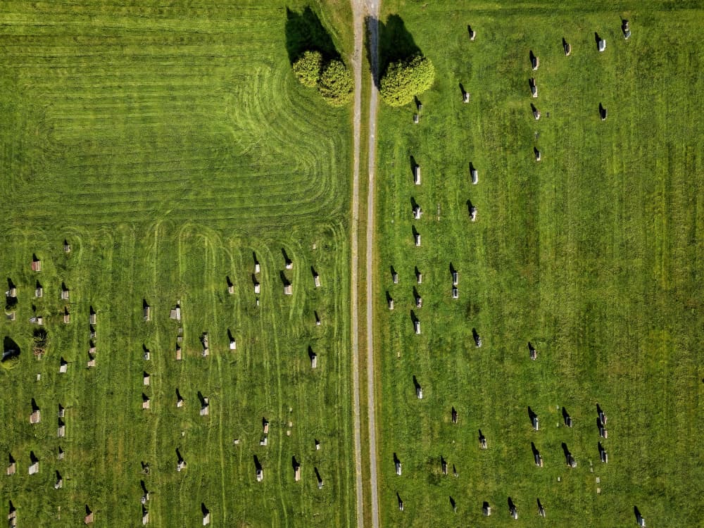 Green Cemetery Path by Lucie Gagnon — canvas wall art