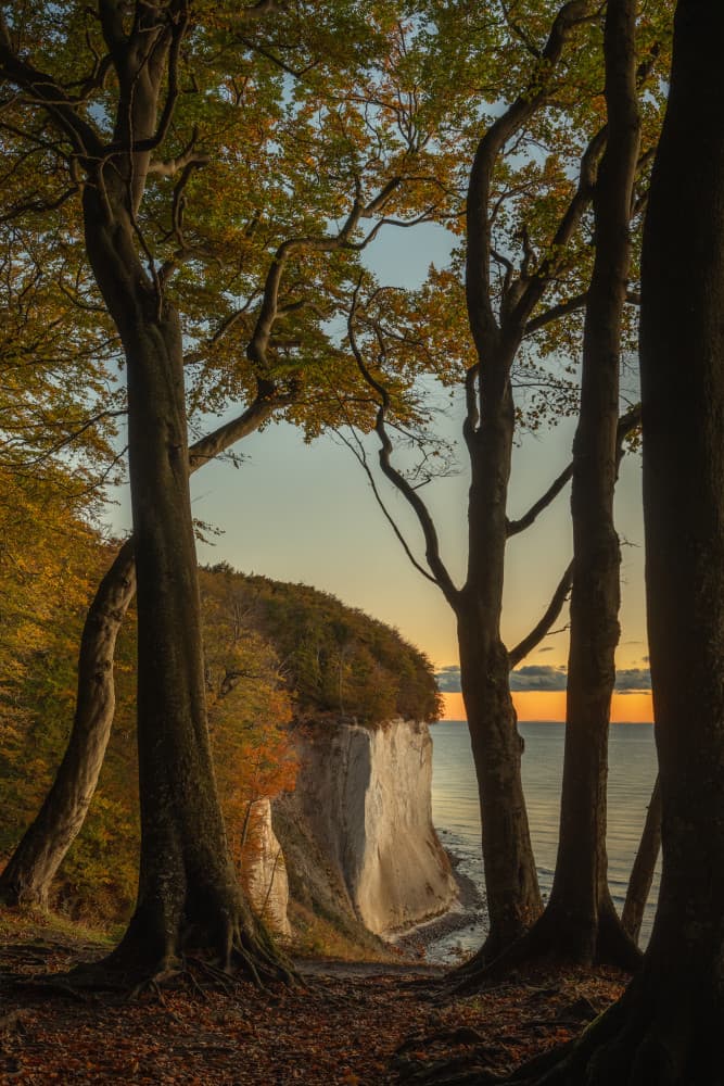 Golden Autumn Cliff View by Ulrike Eisenmann — canvas wall art