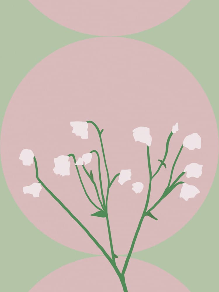 White Flowers Pink Circles by Little Dean — canvas wall art