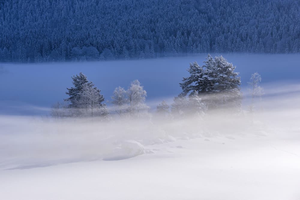 Misty Winter Landscape by Norbert Maier — canvas wall art
