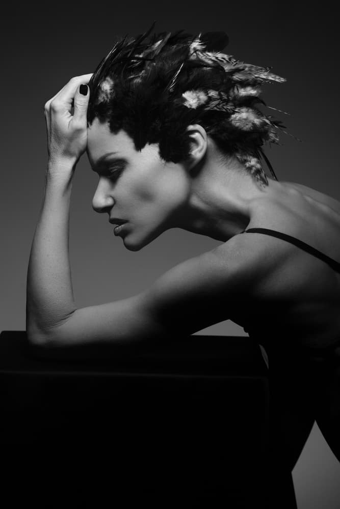 Dramatic Feathered Profile by Christophe CLOVIS — canvas wall art