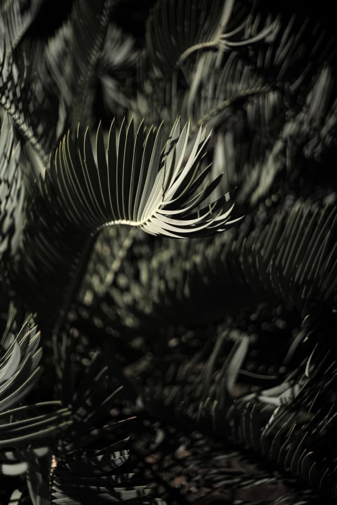 Untitled by Shot by Clint — canvas wall art