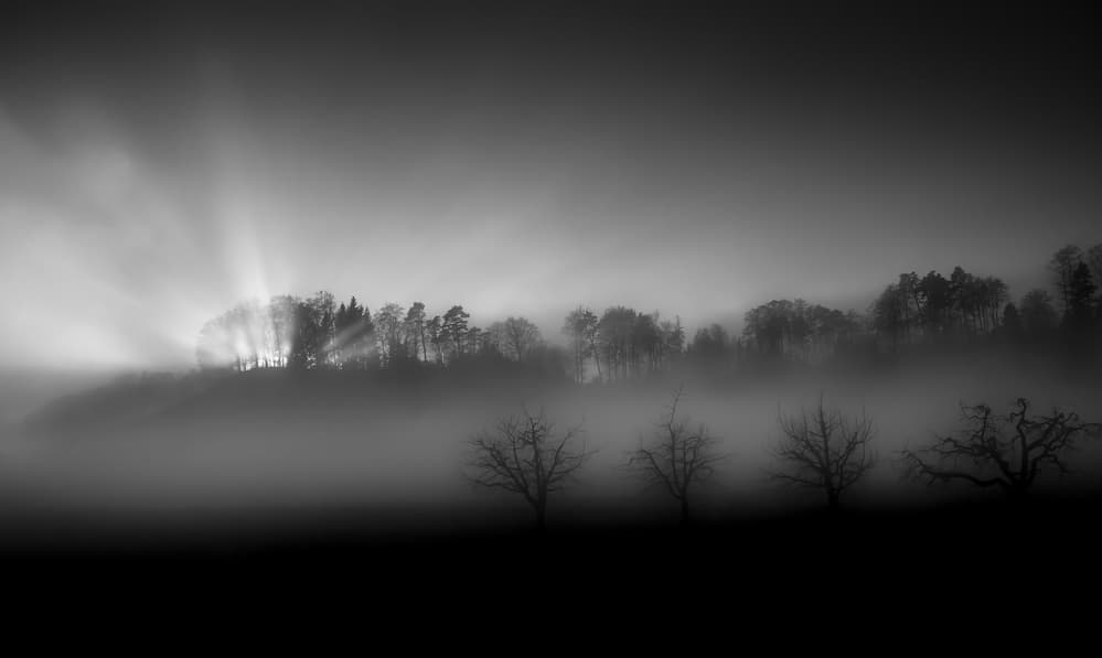 Misty Woods Light Rays by Nic Keller — canvas wall art