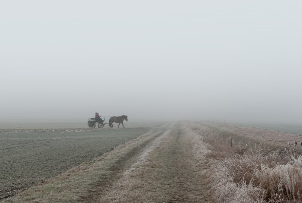Solitary Winter Journey by Hans Günther — canvas wall art