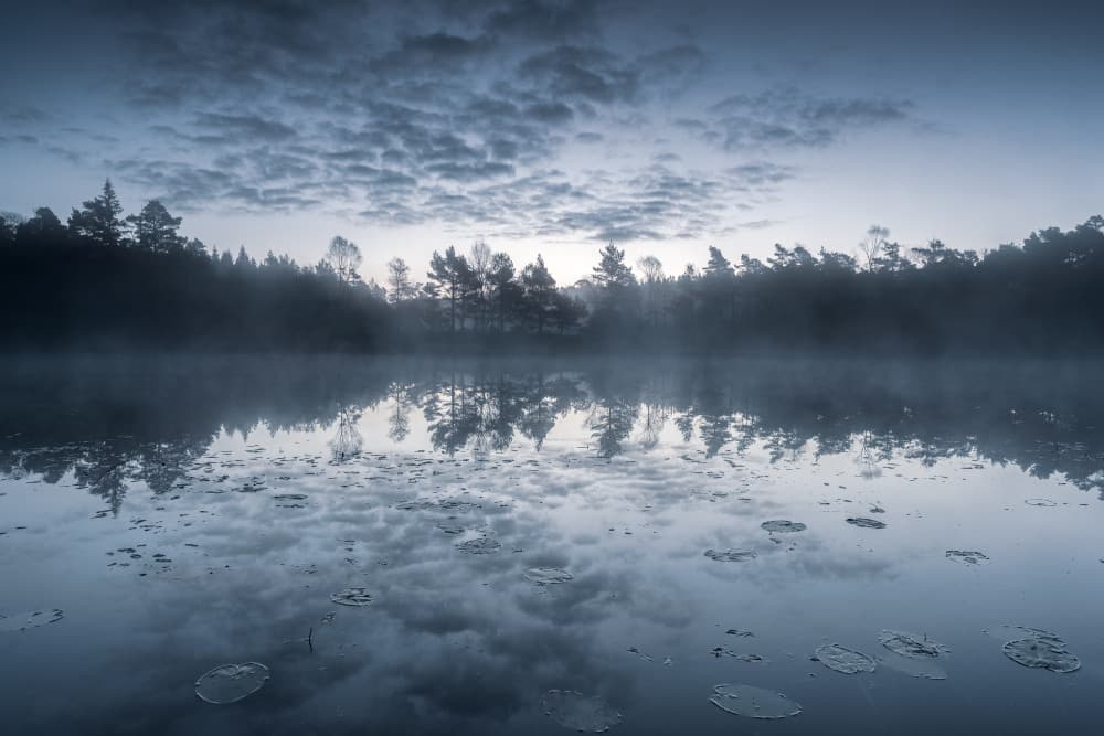 Misty Lake Morning by Benny Pettersson — canvas wall art