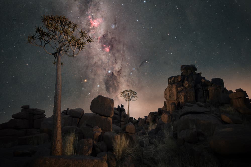 Quiver Trees Under Milky Way by Vikas Chander — canvas wall art