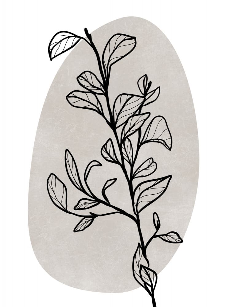 Delicate Botanical Lines by Rosana Laiz Blursbyai — canvas wall art