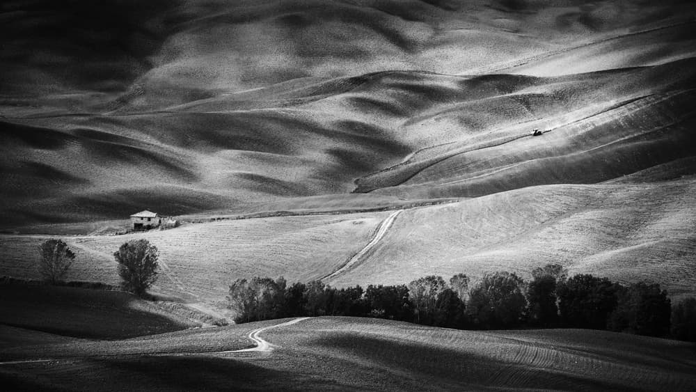 Light and Shadow Fields by Peter Svoboda MQEP — canvas wall art