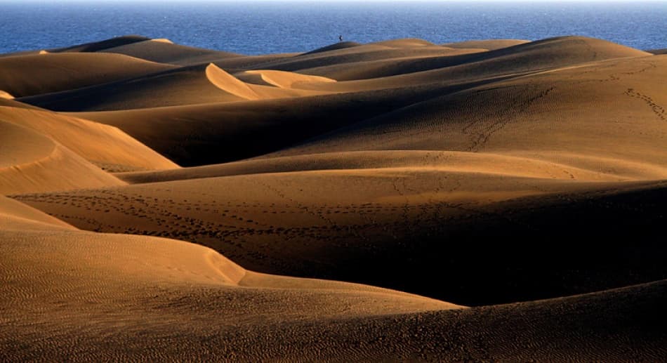 Golden Desert Dunes by Bror Johansson — canvas wall art