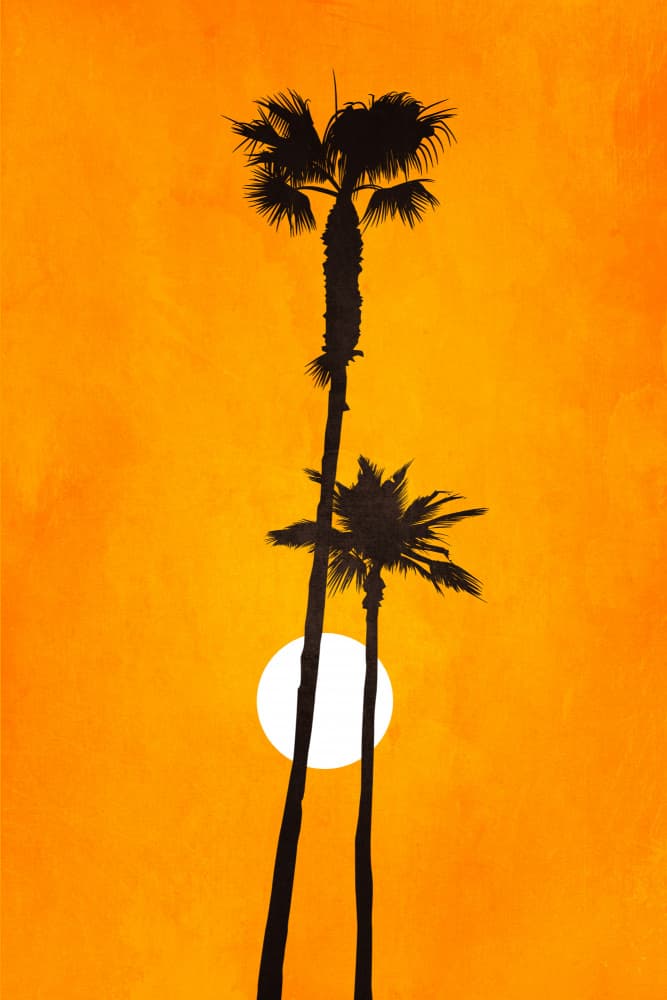Sunshine Paradise by Kubistika — canvas wall art