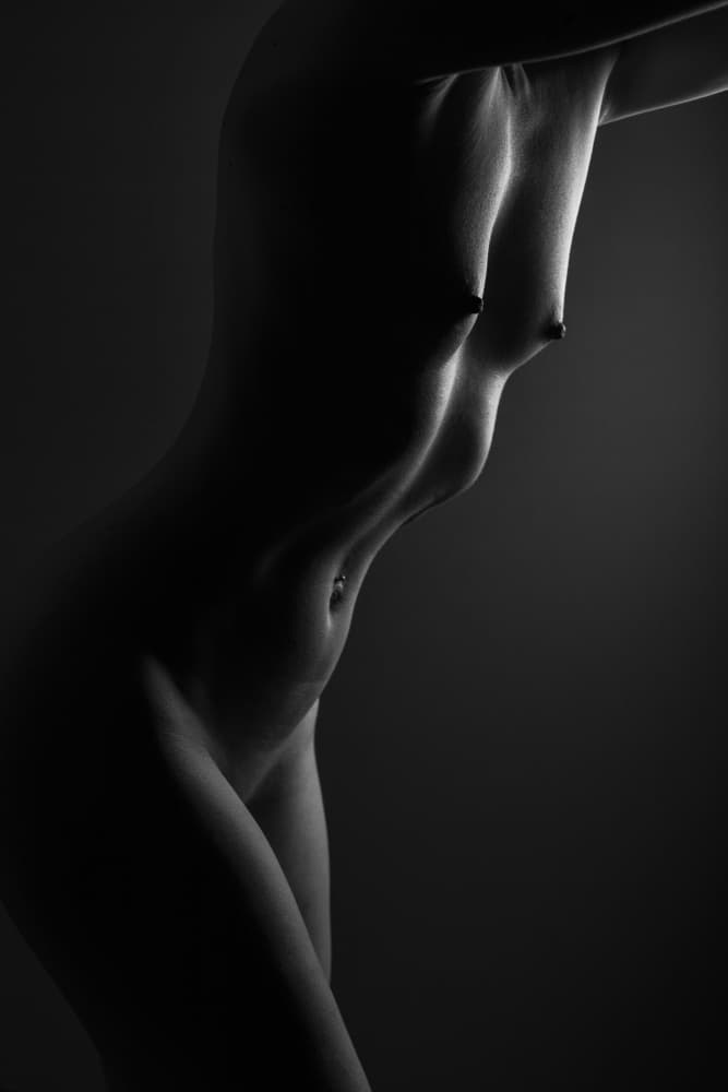 Elegant Female Form by Hardik Pandya — canvas wall art