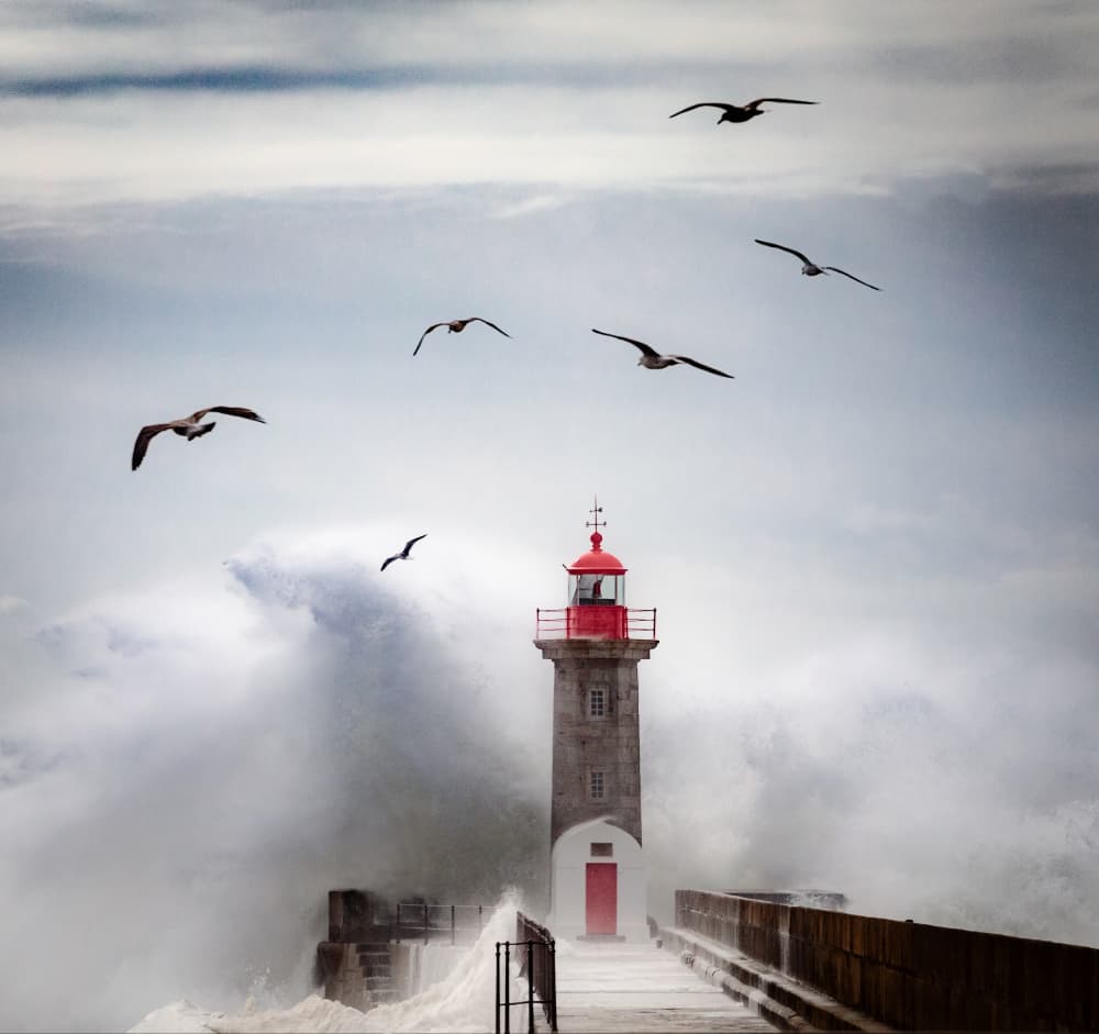 Lighthouse With Flying Birds by Marco Faria — canvas wall art