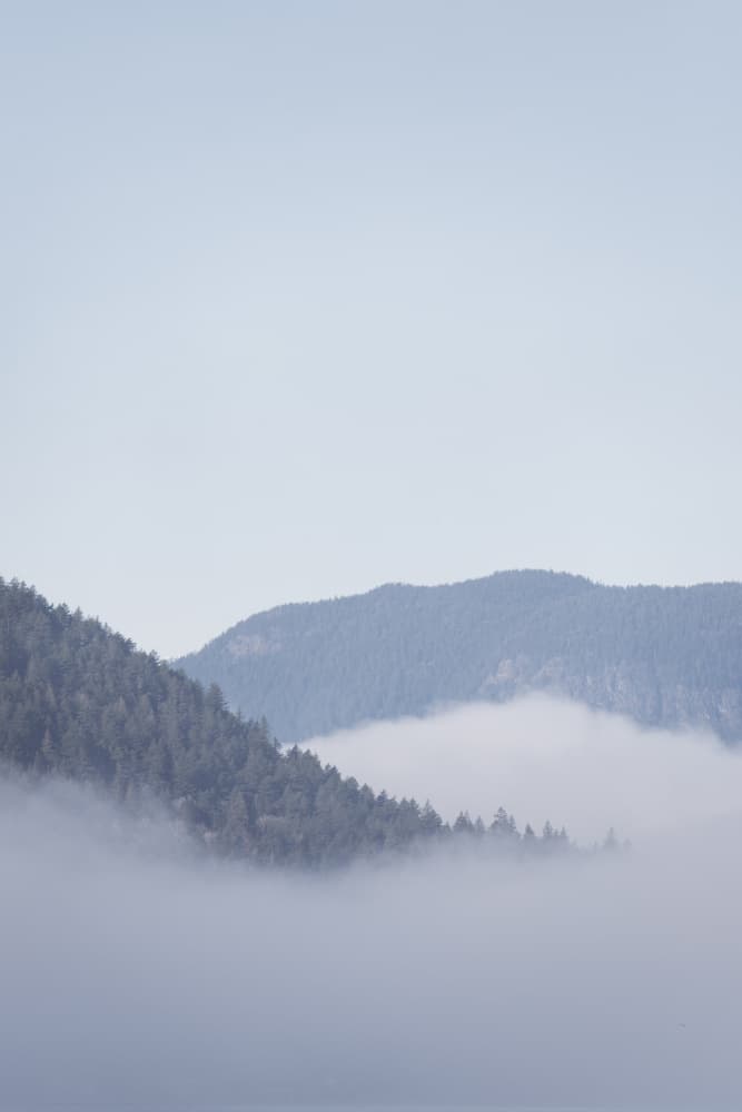 Serene Foggy Mountains by Lynann Colligan — canvas wall art